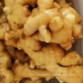 Wholesale cheap price new crop fresh ginger